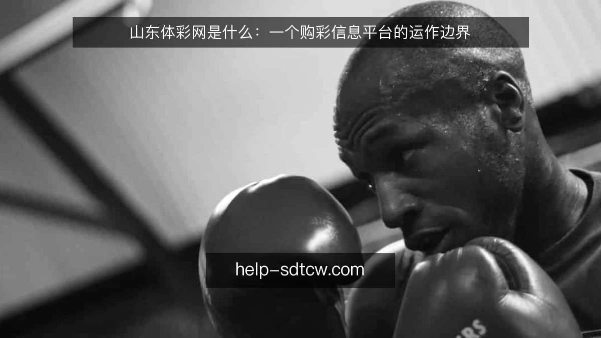 山东体彩网是什么：一个购彩信息平台的运作边界